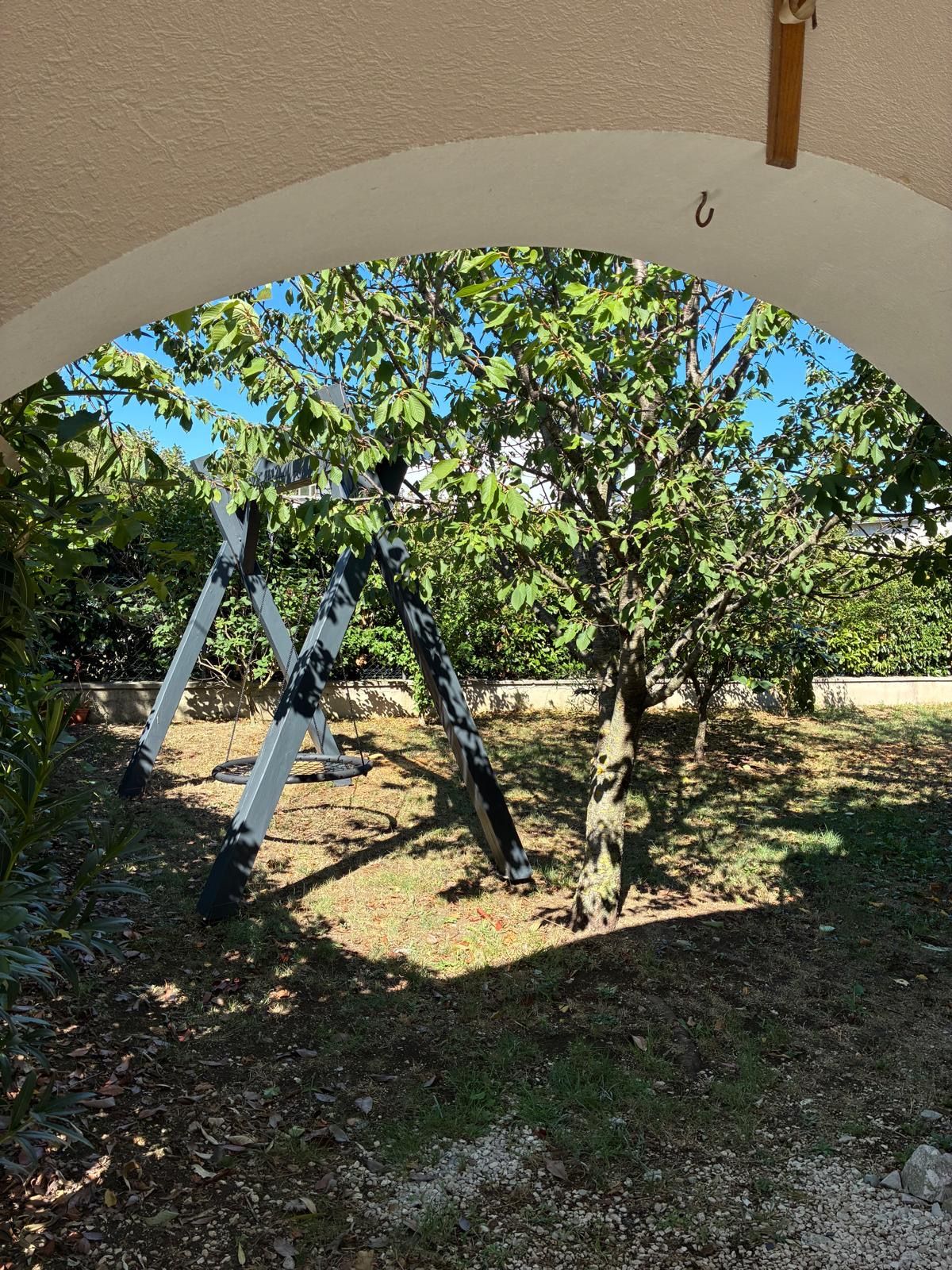 A tree with a swing set in a backyard.