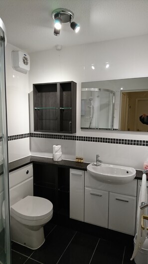 Superior Apartment | Bathroom - Scenic View (Swansea)