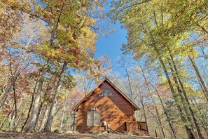 A rustic cabin with a number '266' on its front, surrounded by tall trees and a clear blue sky.