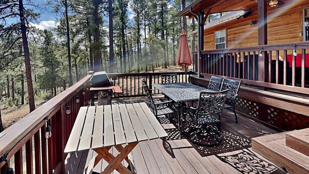 Eine Holzterrasse mit Tisch und Stühlen, umgeben von hohen Bäumen.