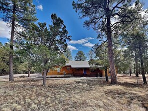 A cabin with a metal roof, surrounded by tall pine trees, in a forested area. - 4 Bears 1 Cave by Ruidoso Vacation Rentals (Alto)