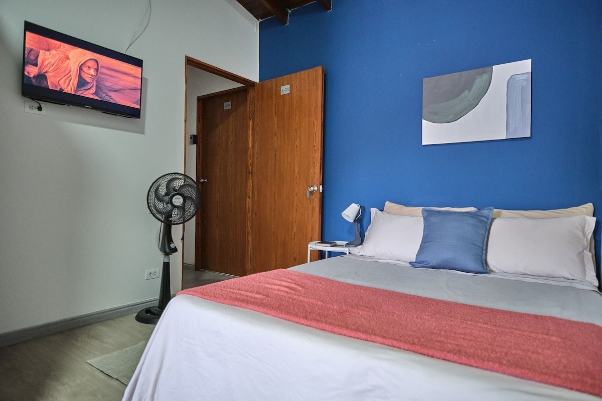 A bedroom with a bed, a TV, a fan, and a door.