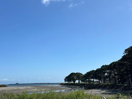 Paisagem costeira com céu claro, uma praia arenosa e uma fileira de árvores.