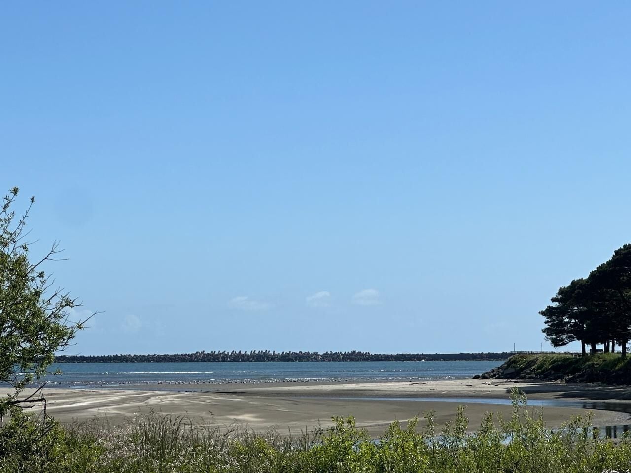 A beach with clear skies, a sandy shore, and a distant tree line.