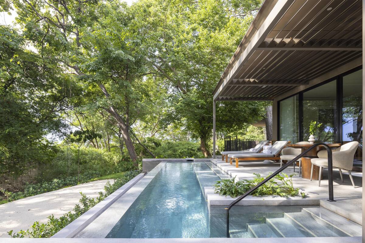 A modern outdoor pool area with a clear view of the pool, surrounded by lush greenery and a wooden pergola.