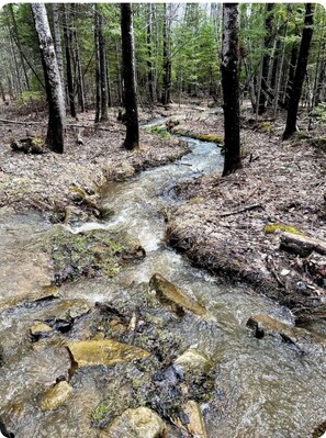 Miscellaneous - Centrally located private camp with fire-pit (pet friendly) (Miramichi)