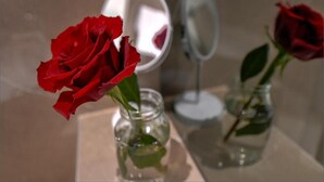 Two red roses in clear glass vases on a reflective surface. - Via Porto Rooms - Deluxe Room with King Bed (Split)