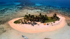 Vista aérea de una pequeña isla con palmeras y una playa de arena.