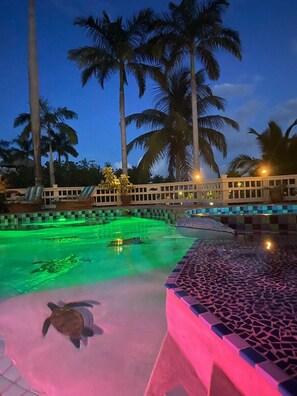 Piscina externa