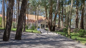 A pathway leading to a building with a tiled roof, surrounded by tall trees and a gravel ground. - Oceana Suites Green Park (Punta Ballena)