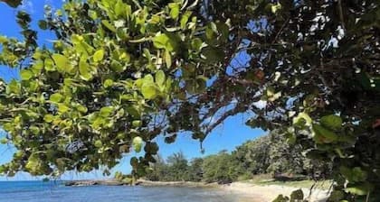 Steps away from the beach! Cabin Life @ Happy Life Villas