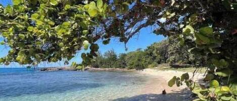 Beach nearby, sun loungers, beach towels