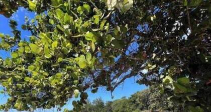 Beach Access, WIFI, TV Ocean Breeze 3 @ Happy Life Villas