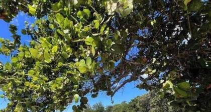 FREE WIFI & Steps from the beach, Room 5 @ Happy Life Villas