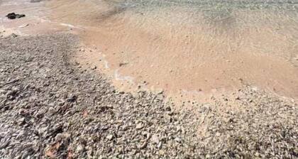 Beautiful Nature Views Steps from Beach, Sunrise @ Happy Life Villas