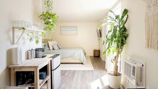 A compact bedroom with a bed, bedside table, and a potted plant.