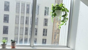A room with a large window, a hanging plant, a small table, and a chair with a floral cushion. - Collins St - The Heart Of The City (Melbourne)