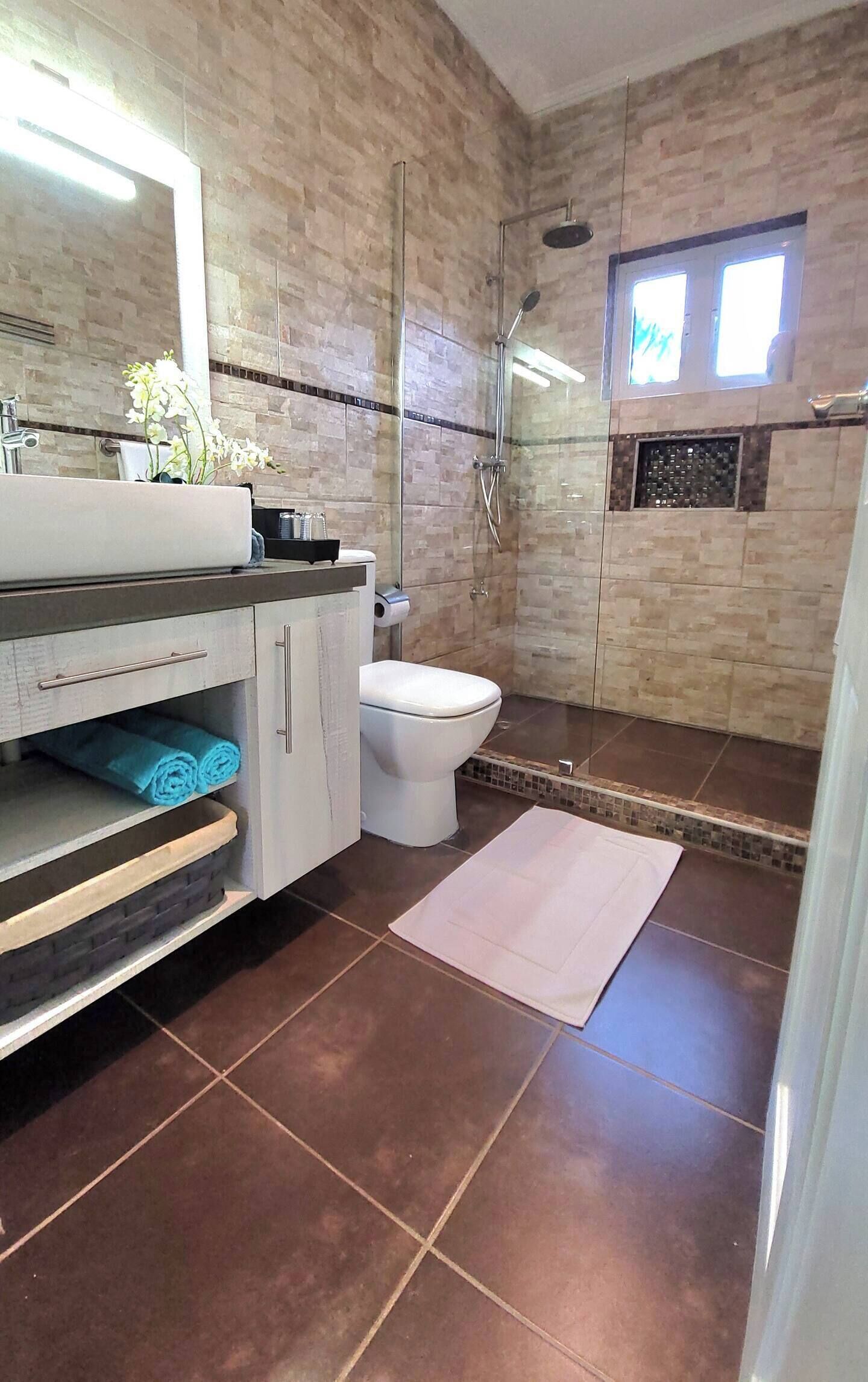 Hair dryer, towels, soap, shampoo