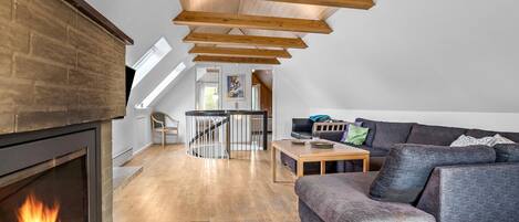 تلفزيون، مدفأة، مشغل دي في دي، ستيريو