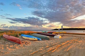 Beach - Nestled among the pitch pines, southern exposure, steps from Old Wharf beaches! (Wellfleet)