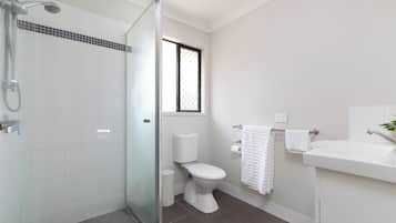 Shower, hair dryer, towels, soap