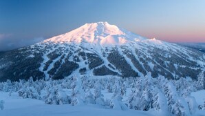 A snow-covered mountain with a forested foreground.
