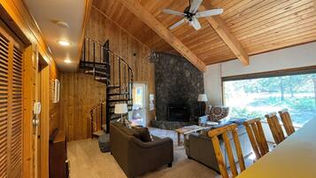 TV connectée, cheminée, lecteur de DVD, livres