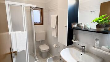 Shower, hair dryer, bidet, towels