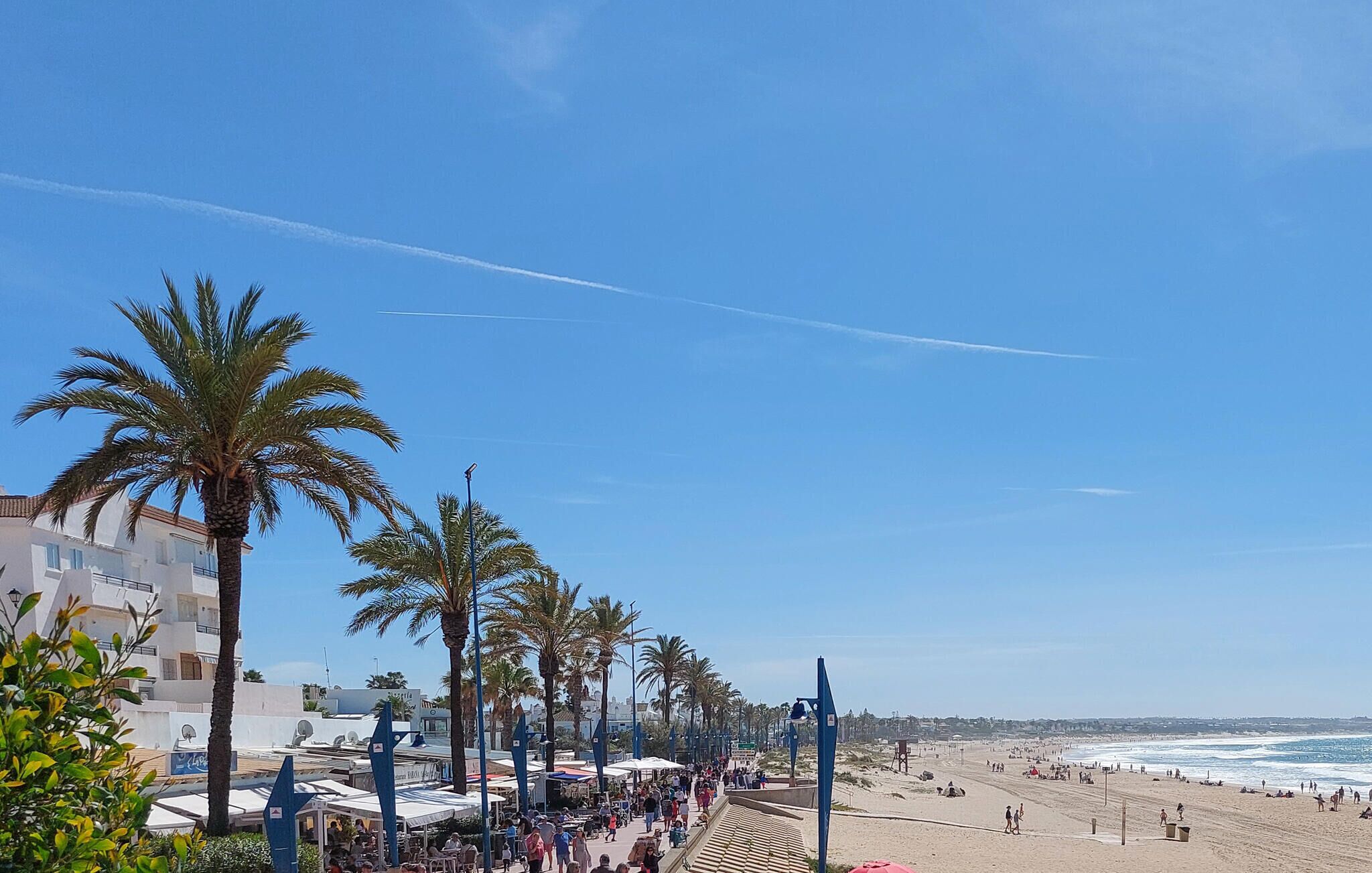 Un paseo marítimo con palmeras, mesas al aire libre y vistas al océano.