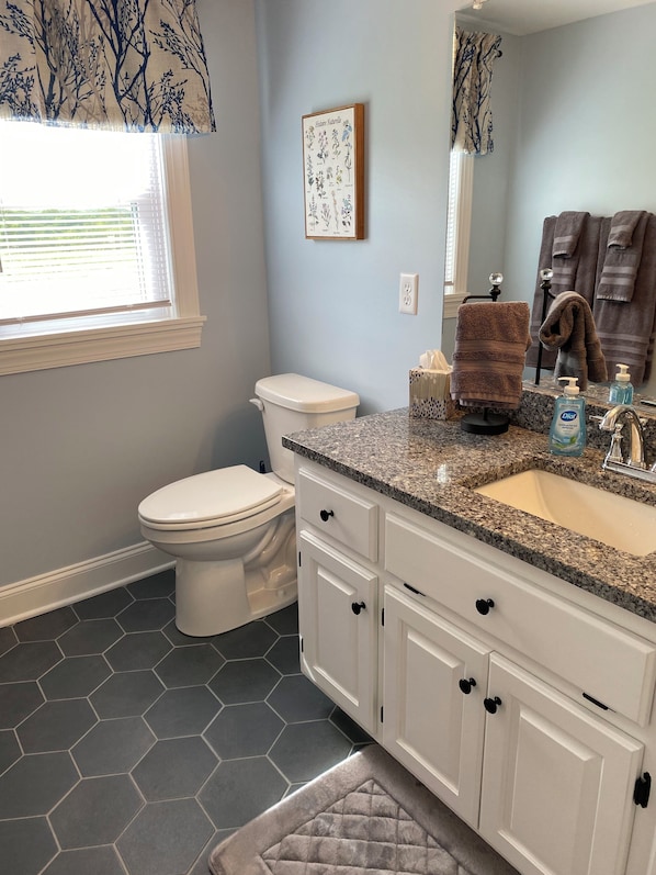 Hair dryer, towels, toilet paper