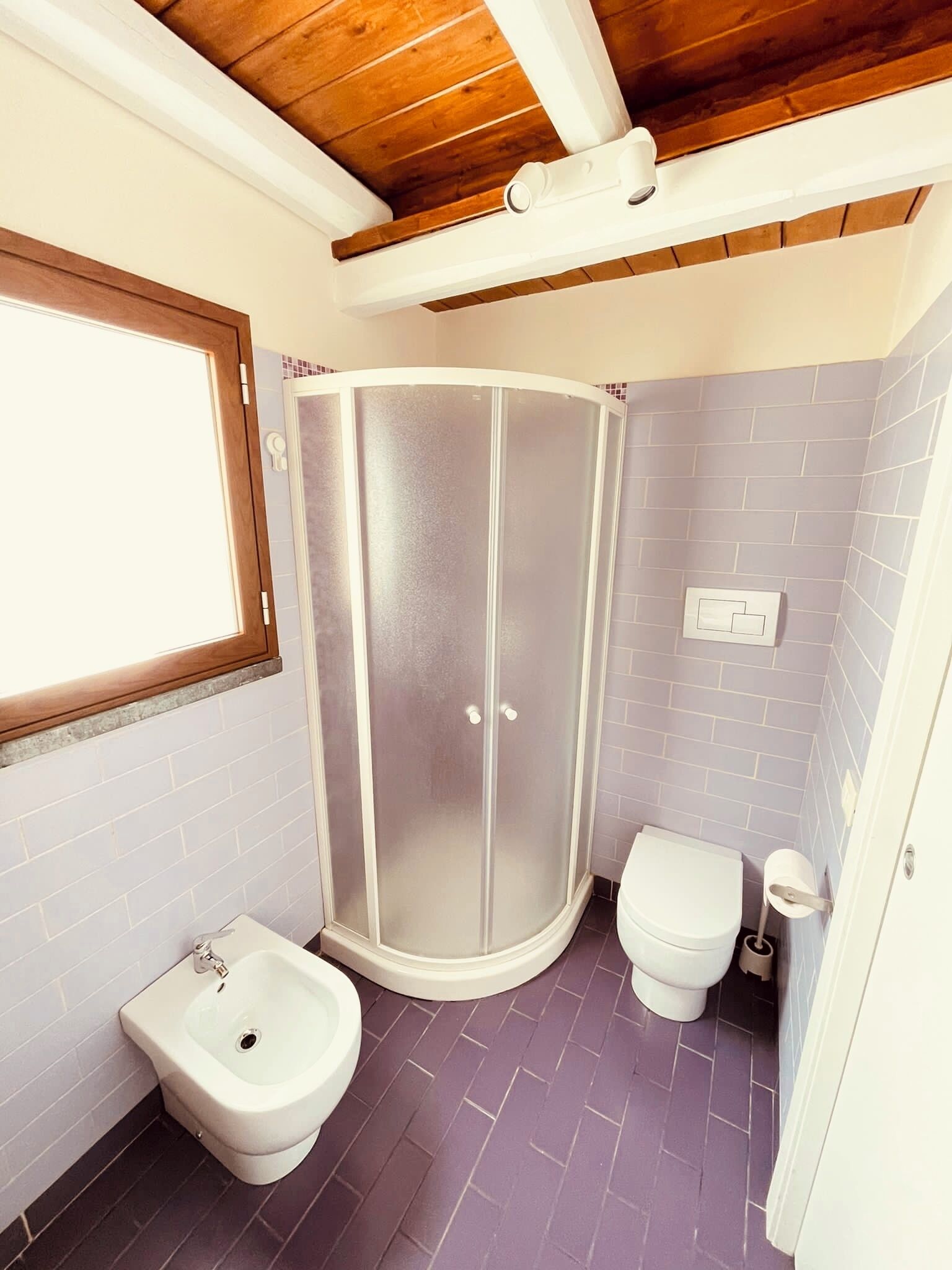A bathroom with a shower enclosure, a toilet, and a bidet.