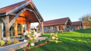 Trang trí khác biệt, trang bị nội thất với thiết kế riêng biệt