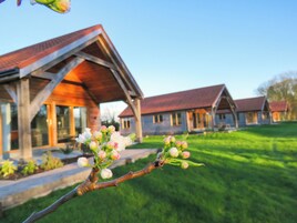 Individually decorated, individually furnished, free WiFi, bed sheets