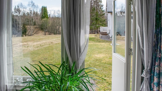 Een kamer met een groot raam, een potplant en uitzicht op een gazon en bomen.