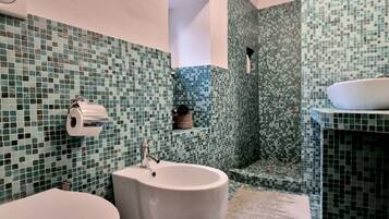 Shower, hair dryer, bidet, towels