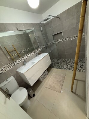 Shower, hair dryer, towels, soap