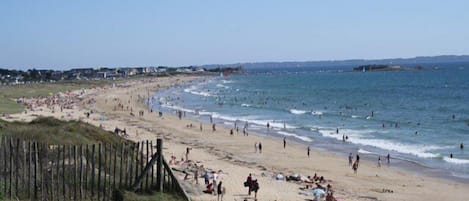 Nära stranden