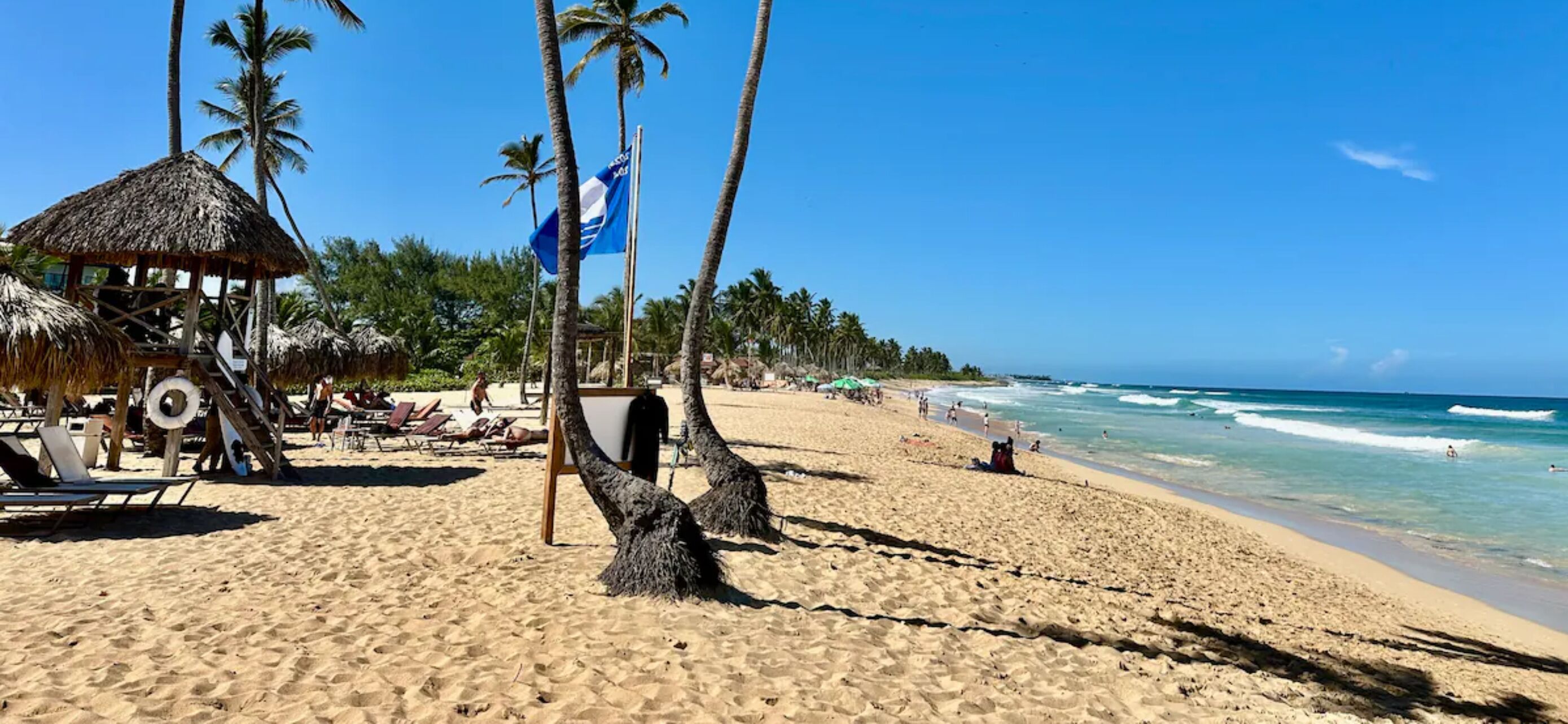 A beach with palm trees, a thatched-roof hut, and a flag.
