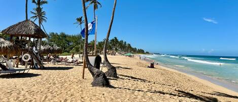A beach with palm trees, a thatched-roof hut, and a flag.