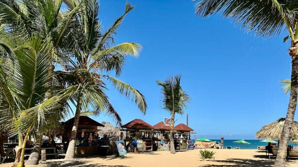 A beach with palm trees, beach umbrellas, and a clear blue sky. - Elegant Villa, 7 Beds, Sleep 10. Beach access, Private pool, Bavaro Punta Cana (Punta Cana)