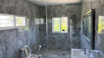 Shower, hair dryer, bidet, towels