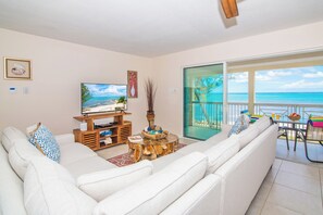 Smart TV, reproductor de DVD, libros y monitor de computadora