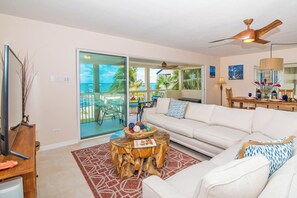 Smart-TV, DVD-spiller, bøker og stereoanlegg