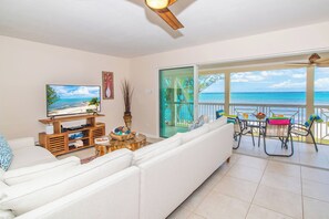 Smart TV, reproductor de DVD, libros y monitor de computadora