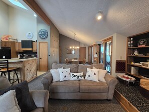 Smart TV, fireplace, books