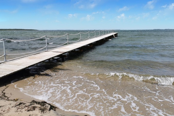 Vlak bij het strand, vissen