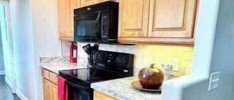 Fridge, microwave, stovetop, dishwasher