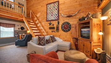 TV, fireplace, DVD player, books