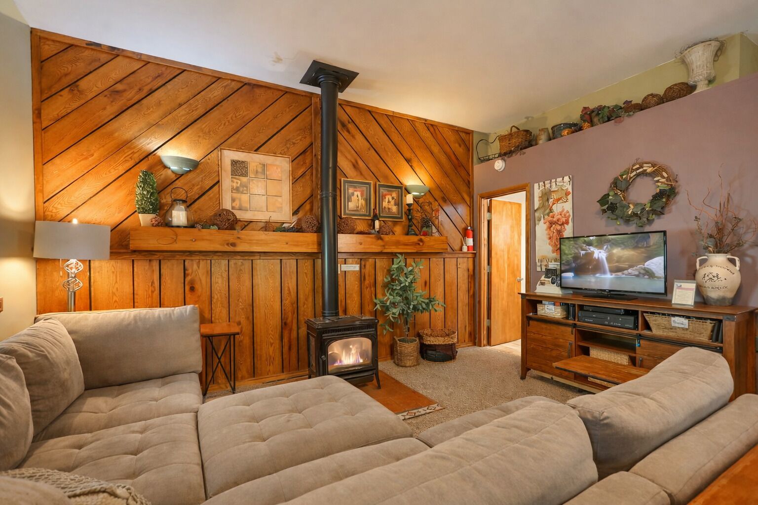 Fireplace, DVD player, books, video library