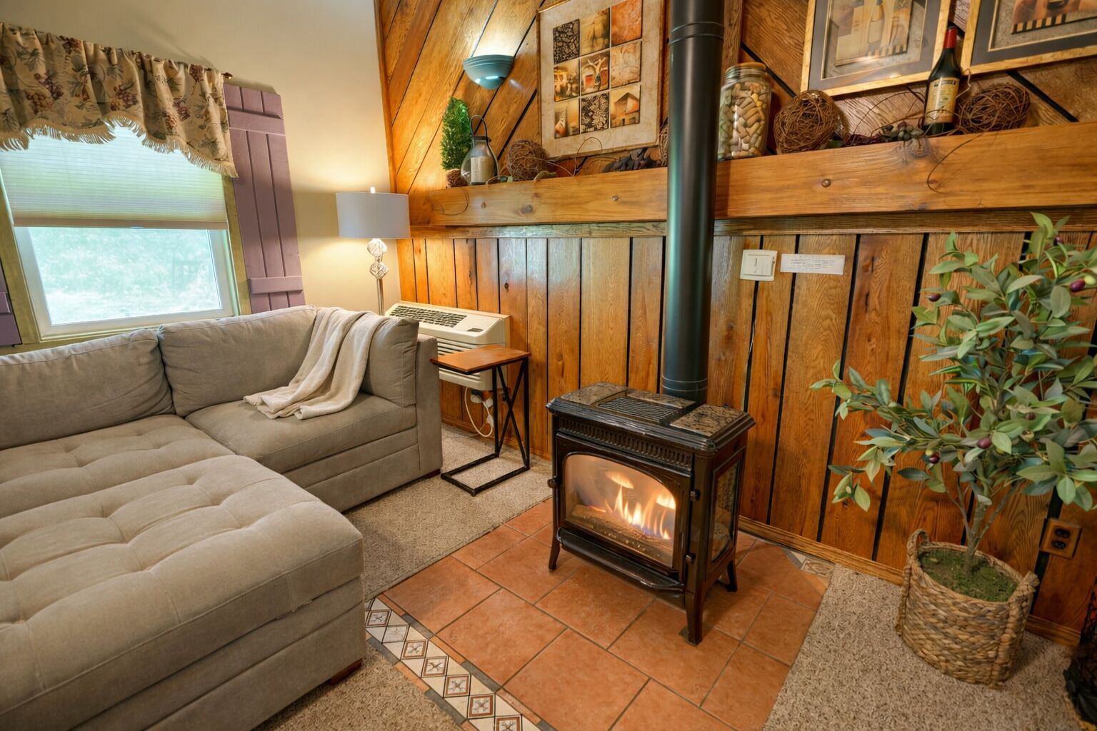 Fireplace, DVD player, books, video library